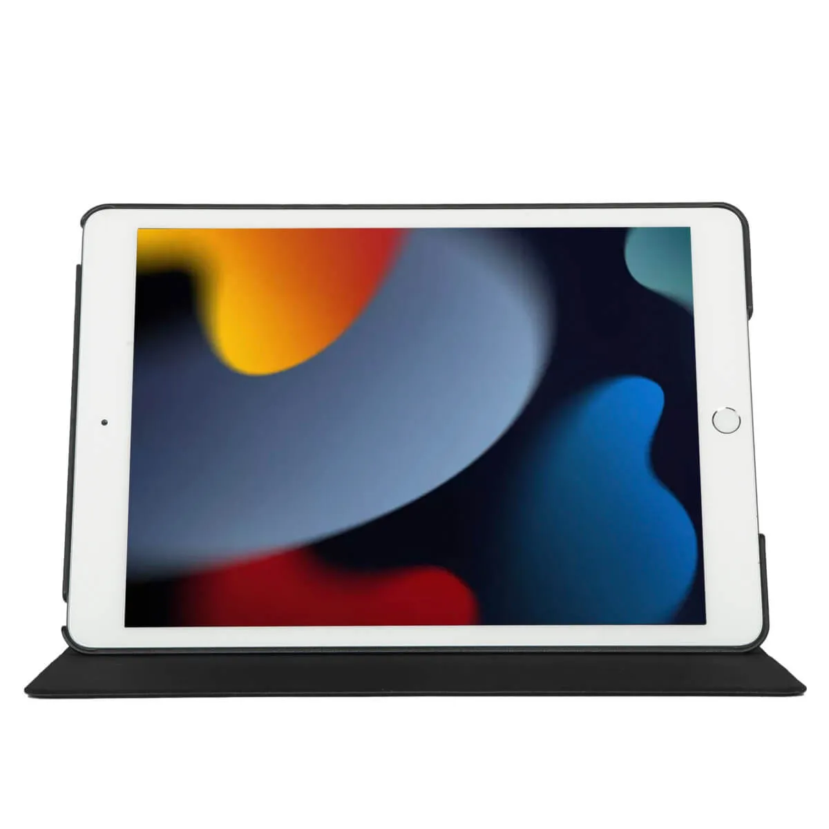 Classic Case for iPad® (9th, 8th, 7th gen.) 10.2-inch
