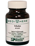 Tribulus 40 Tablets